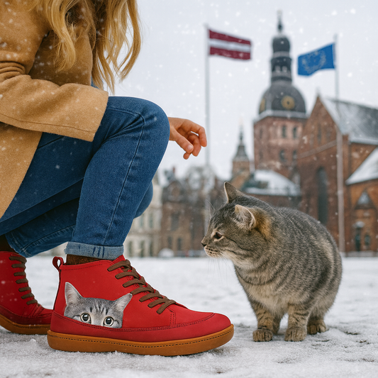Biaotok® | Desenvolvida para os amantes de gatos | Super macia e confortável | Facilita a caminhada